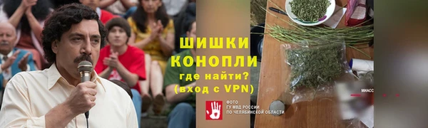 ПСИЛОЦИБИНОВЫЕ ГРИБЫ Волосово